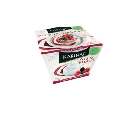 YOGUR HELADO KARINAT SABOR FRUTOS DEL BOSQUE 120GR