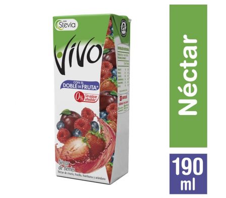 VIVO JUGO NECTAR BERRIES 190CC