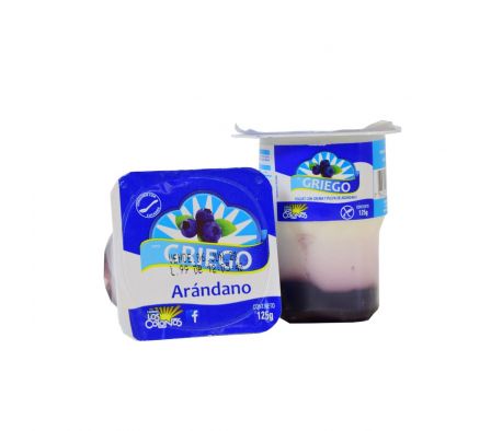 LOS COLONOS YOGHURT GRIEGO  ARANDANOS 125 GR