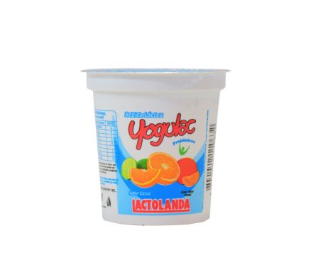 BEBIDA LACTEA YOGULAC CITRUS POTE DE 140GR.