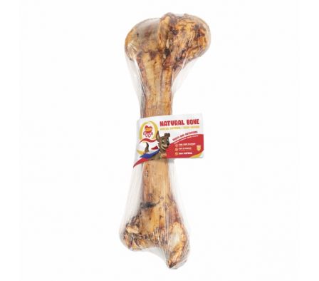 FEMUR GRAN CANI BOBINA X UND