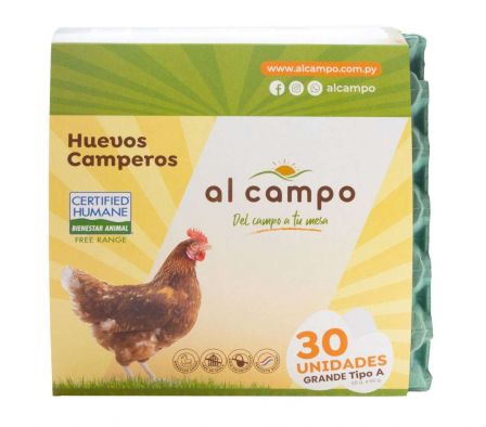HUEVOS CAMPEROS AL CAMPO TIPO A TAMAÑO G 30UNID