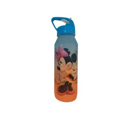 BOTELLA MINI P/AGUA 700ML PLAST REF 35194-99