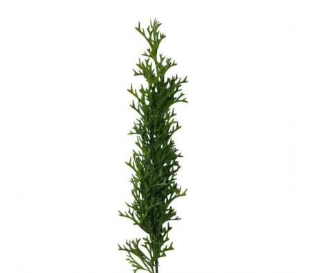 RAMA DECORATIVA ARTIFICIAL D/PINO 78CM REF 