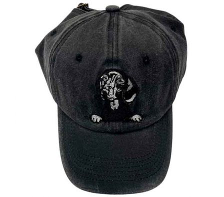 KEPI BORDADO P/CABALLERO 54-60CM REF 38506-12