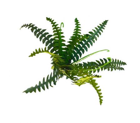 RAMO HELECHO ARTIFICIAL 40CM REF BA-9264-14
